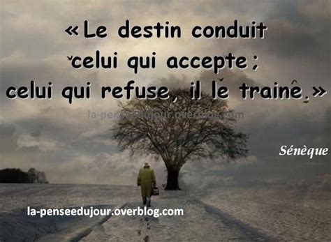 proverbes destin